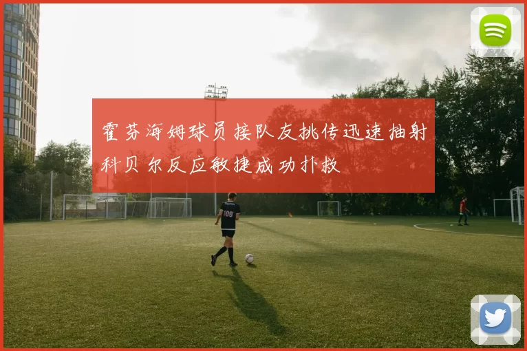 霍芬海姆球员接队友挑传迅速抽射科贝尔反应敏捷成功扑救