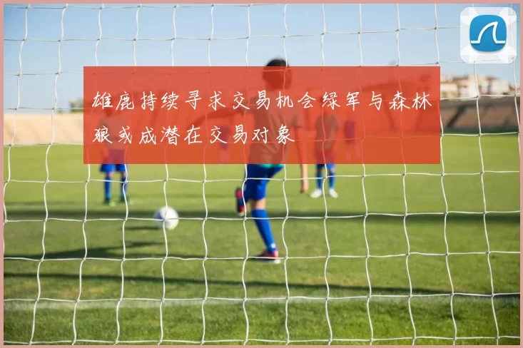 雄鹿持续寻求交易机会绿军与森林狼或成潜在交易对象