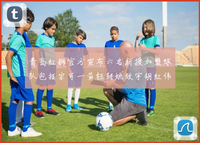 青岛红狮官方宣布六名新援加盟球队包括宗可一黄钰轩姚致宇胡红伟等人